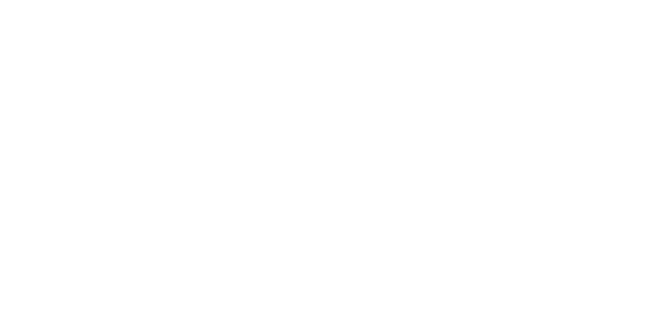 Sports Entertainment Group
